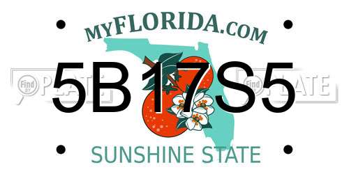5B17S5 Florida License Plate