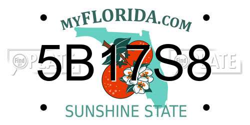 5B17S8 Florida License Plate