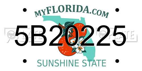 5B20225 Florida License Plate