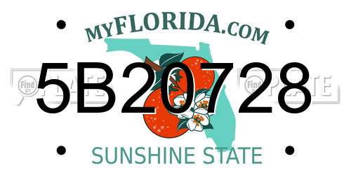 5B20728 Florida License Plate
