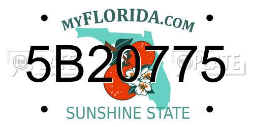 5B20775 Florida License Plate