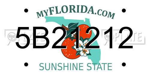 5B21212 Florida License Plate