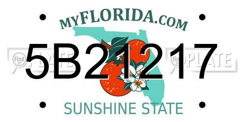 5B21217 Florida License Plate