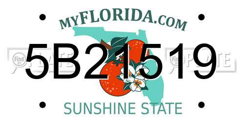 5B21519 Florida License Plate
