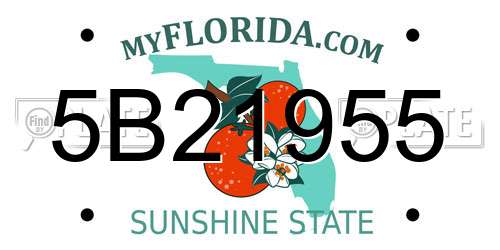 5B21955 Florida License Plate