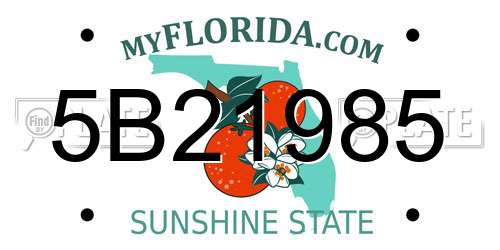 5B21985 Florida License Plate