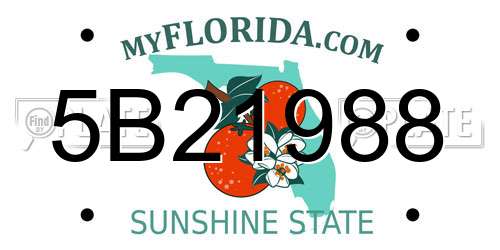 5B21988 Florida License Plate