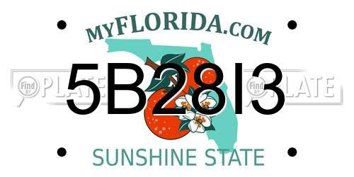 5B28I3 Florida License Plate
