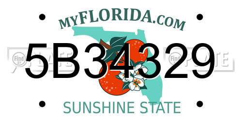 5B34329 Florida License Plate