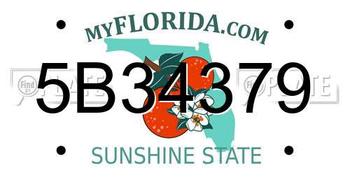 5B34379 Florida License Plate