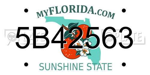 5B42563 Florida License Plate