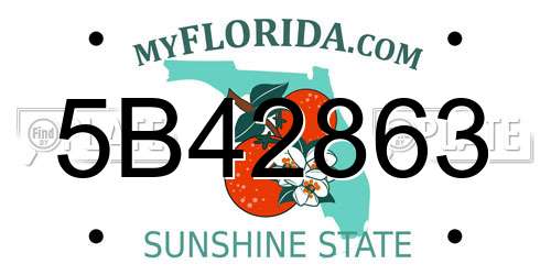5B42863 Florida License Plate