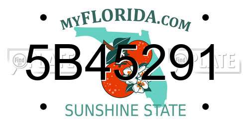 5B45291 Florida License Plate