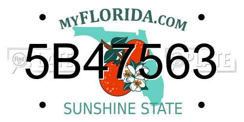 5B47563 Florida License Plate