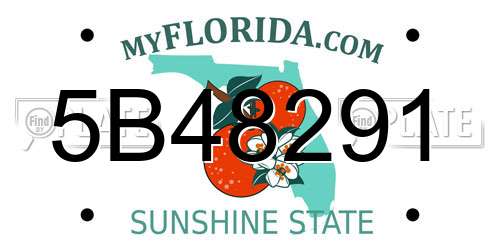 5B48291 Florida License Plate