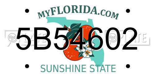 5B54602 Florida License Plate