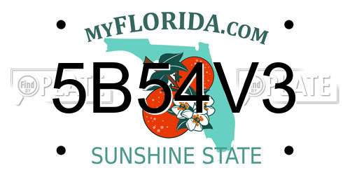 5B54V3 Florida License Plate