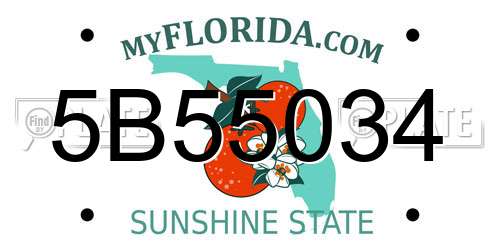 5B55034 Florida License Plate