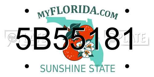 5B55181 Florida License Plate