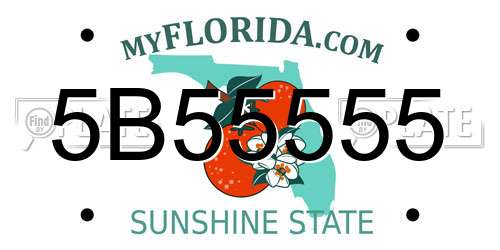 5B55555 Florida License Plate