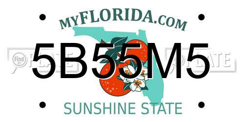 5B55M5 Florida License Plate