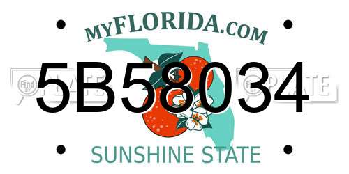 5B58034 Florida License Plate