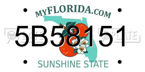 5B58151 Florida License Plate