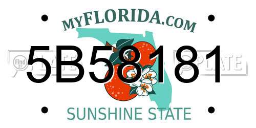 5B58181 Florida License Plate