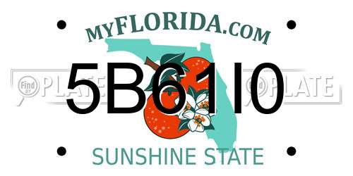 5B61I0 Florida License Plate