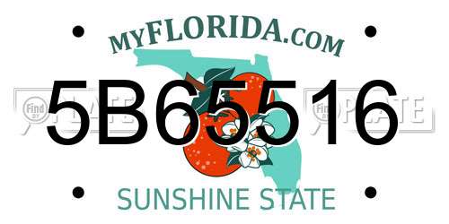 5B65516 Florida License Plate