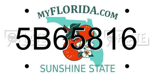 5B65816 Florida License Plate