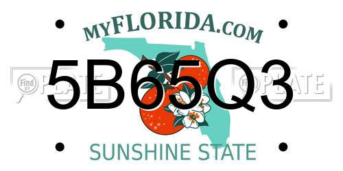 5B65Q3 Florida License Plate
