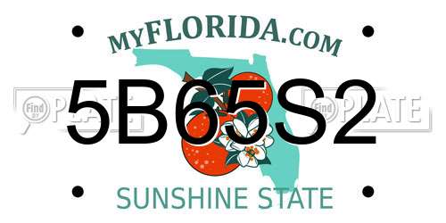 5B65S2 Florida License Plate