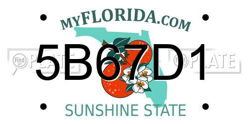5B67D1 Florida License Plate