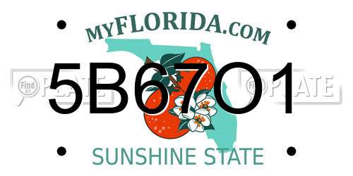 5B67O1 Florida License Plate