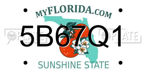 5B67Q1 Florida License Plate