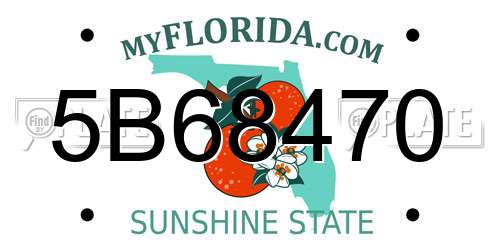 5B68470 Florida License Plate