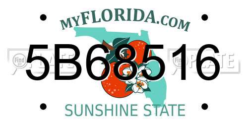 5B68516 Florida License Plate