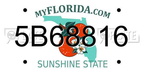 5B68816 Florida License Plate