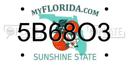 5B68O3 Florida License Plate
