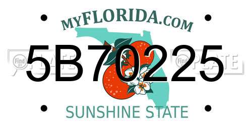 5B70225 Florida License Plate