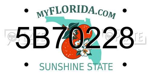 5B70228 Florida License Plate