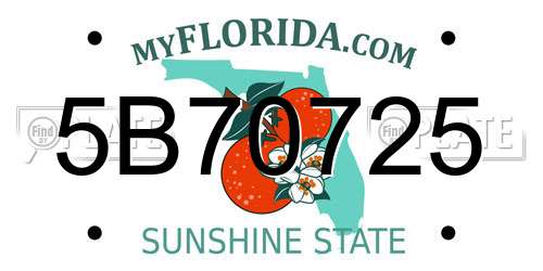 5B70725 Florida License Plate
