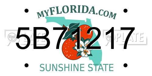 5B71217 Florida License Plate
