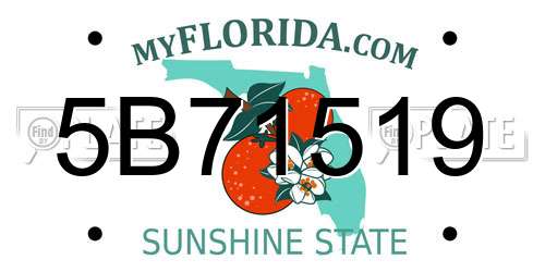 5B71519 Florida License Plate