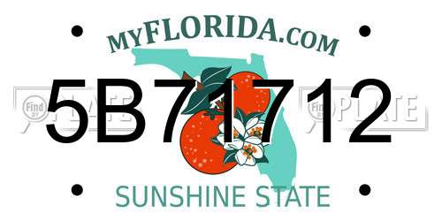 5B71712 Florida License Plate