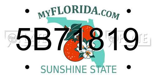 5B71819 Florida License Plate