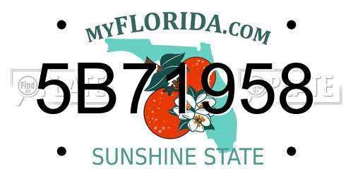 5B71958 Florida License Plate