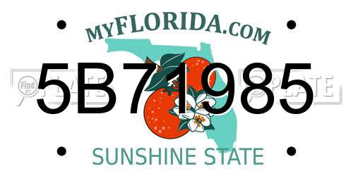 5B71985 Florida License Plate