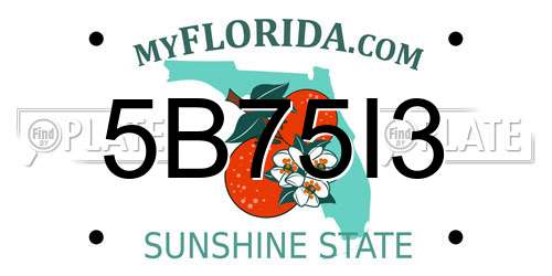 5B75I3 Florida License Plate
